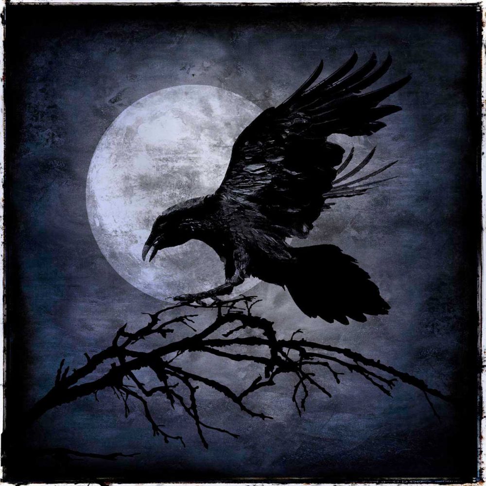 Crow
