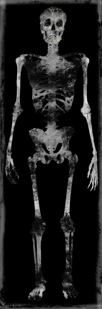 Skeleton III