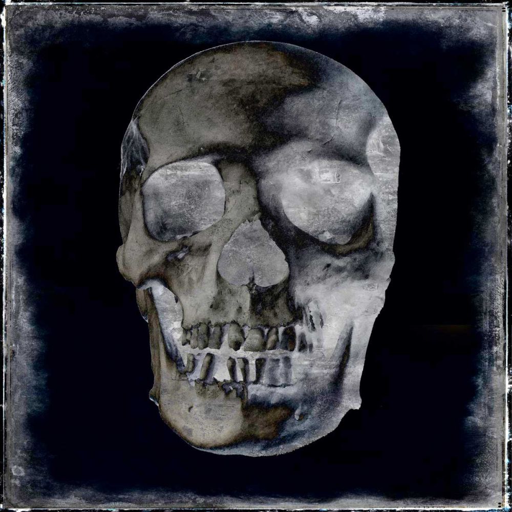 Skull II